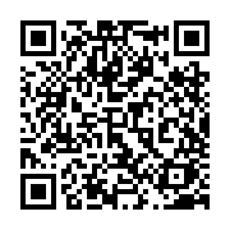 QR code for 462SOK