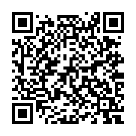 QR code for 462TIS