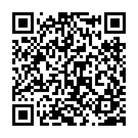 QR code for 463BIR