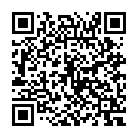 QR code for 463BIX