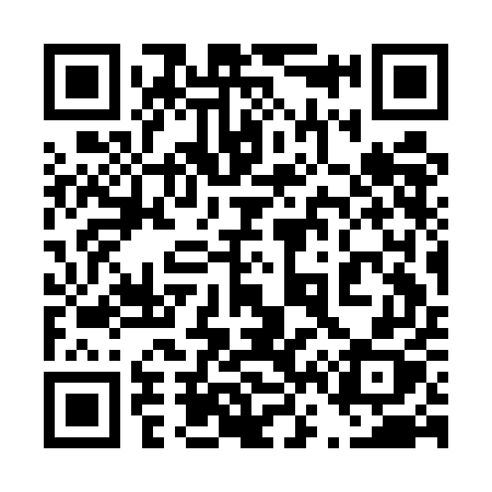 QR code for 463EEX