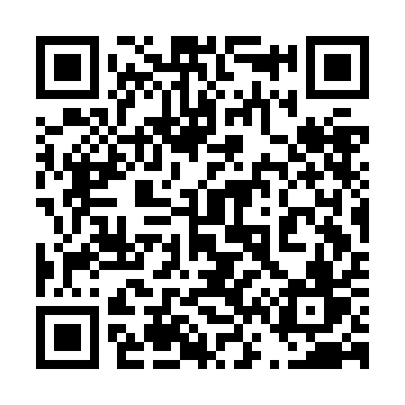 QR code for 463JAV