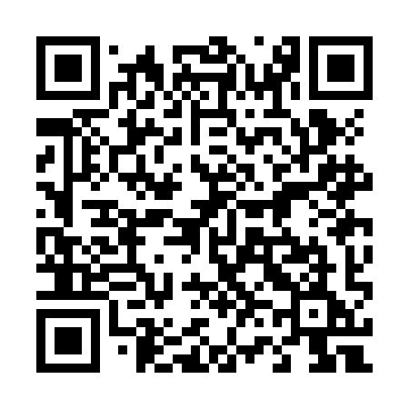 QR code for 463JIE