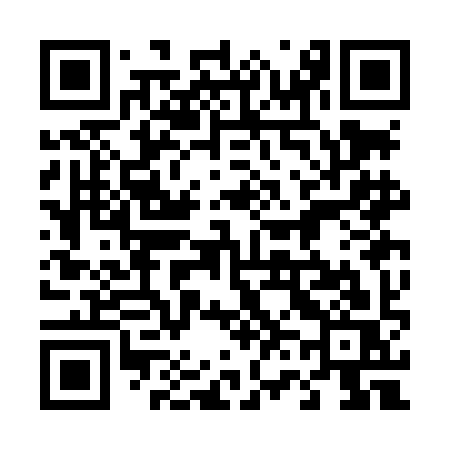 QR code for 463LIS