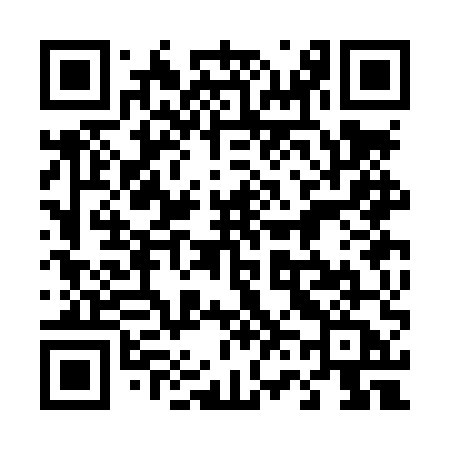 QR code for 463LUA
