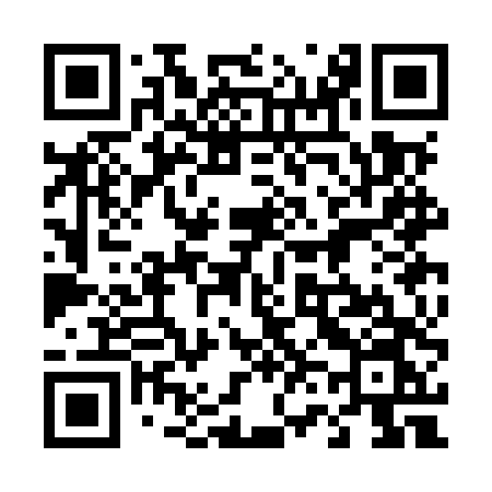 QR code for 463MTN
