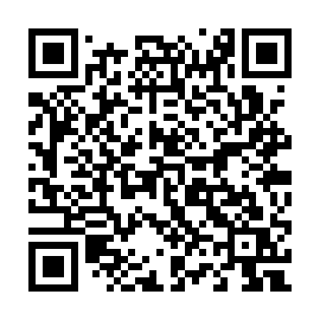 QR code for 463QQS
