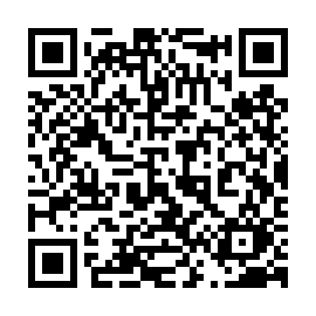 QR code for 463TSO
