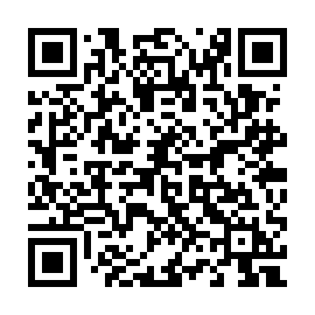 QR code for 463UAH