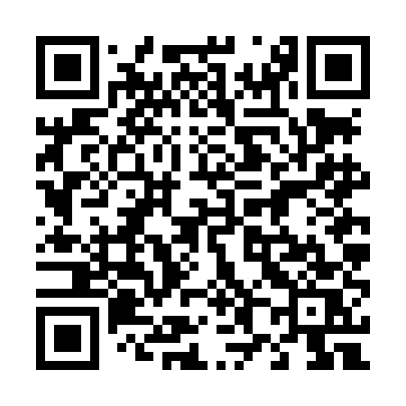QR code for 486LES
