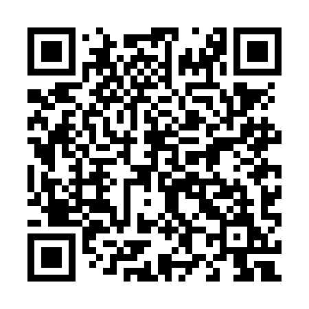QR code for 487NIM