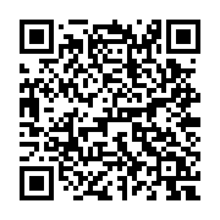 QR code for 490PPT