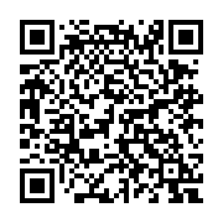 QR code for 491DCI
