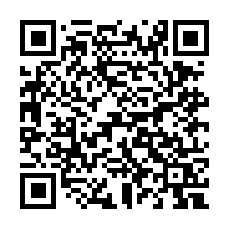 QR code for 491DOS