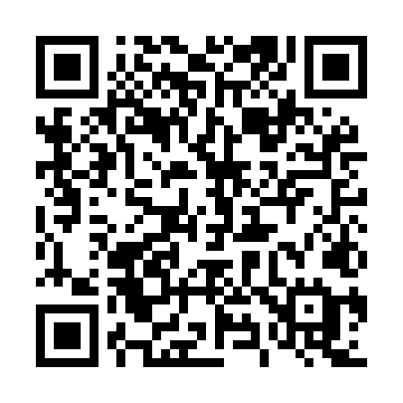QR code for 491MLE
