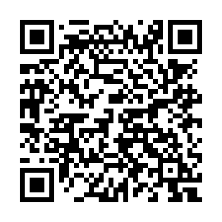 QR code for 491NAI