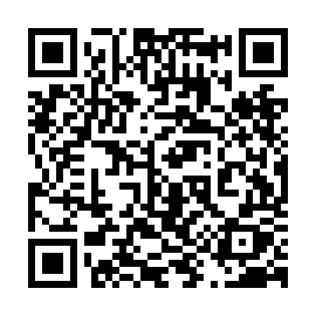 QR code for 491NOX