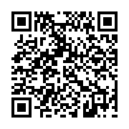 QR code for 491SOX