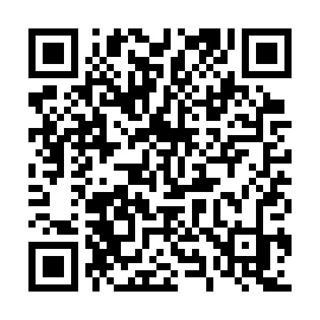 QR code for 491SPK