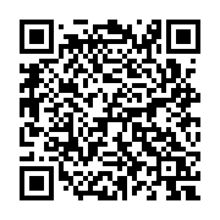 QR code for 493ARS