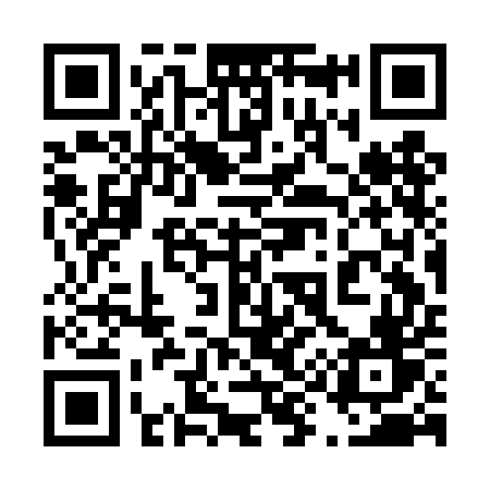 QR code for 493DEV