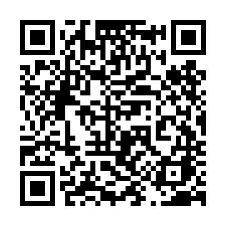 QR code for 493DNA