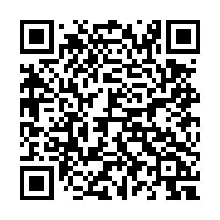 QR code for 493DTF