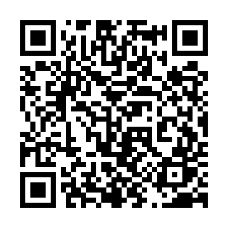 QR code for 493EUR