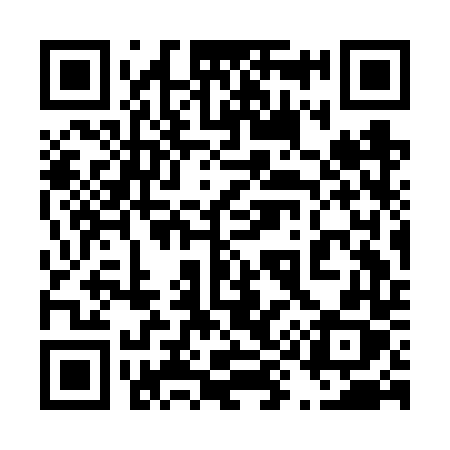 QR code for 493FTX