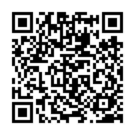 QR code for 493FUM