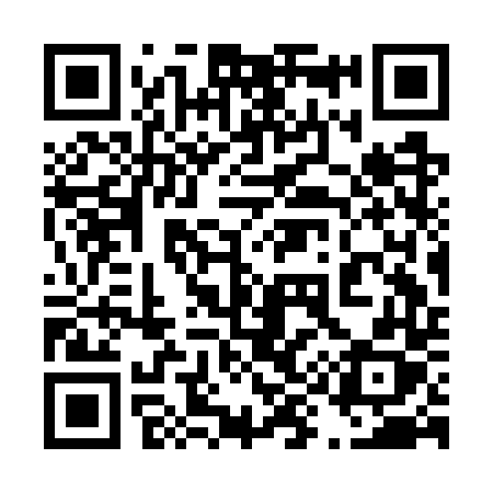 QR code for 493GTX