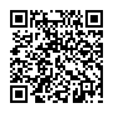 QR code for 493IHP