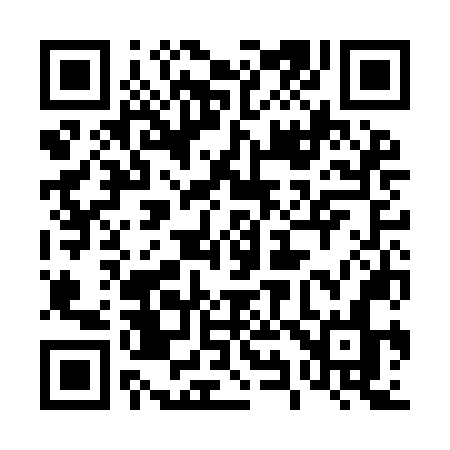 QR code for 493INN
