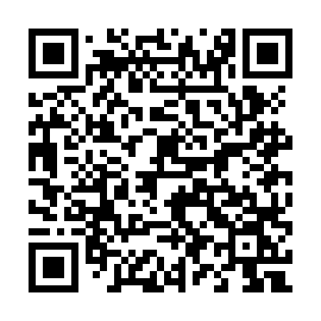 QR code for 493JLN