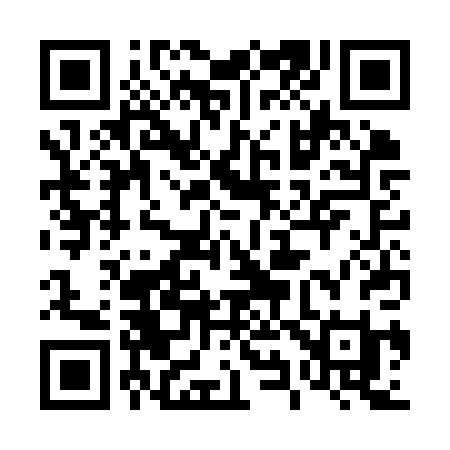 QR code for 493KPI