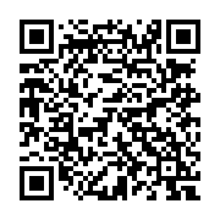 QR code for 493LEK