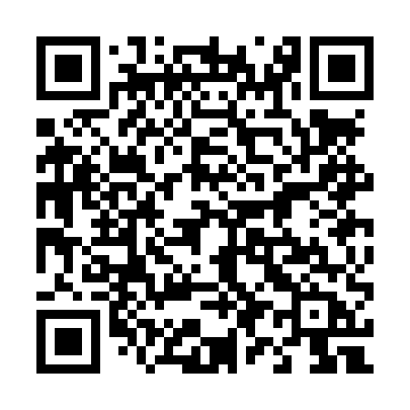 QR code for 493LUB