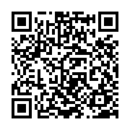 QR code for 493MKT