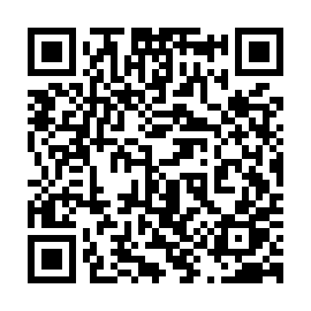 QR code for 493MPP