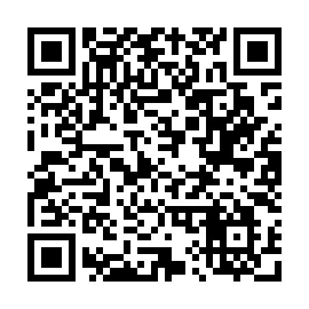 QR code for 493MYO