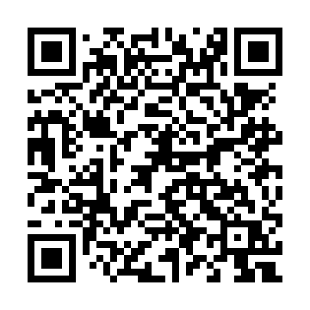 QR code for 493NAR