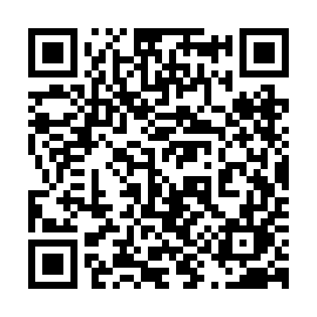 QR code for 493REL