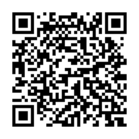 QR code for 493RTH