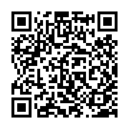 QR code for 493TXQ