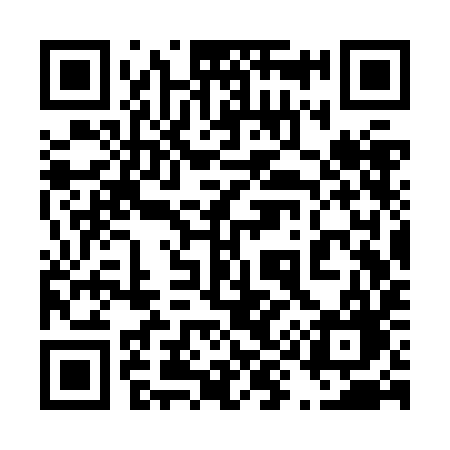 QR code for 493ZIG