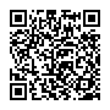 QR code for 493ZJI