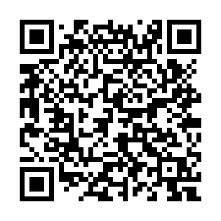 QR code for 493ZQP