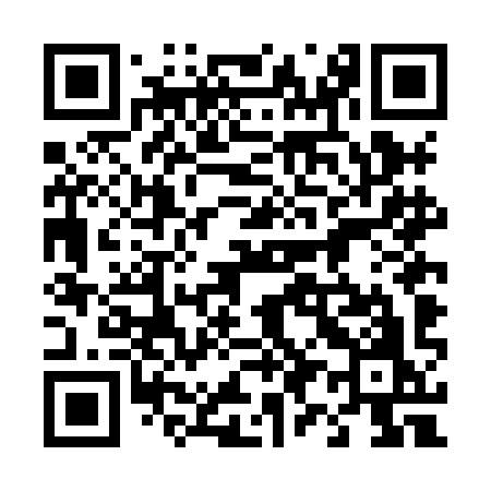 QR code for 494HIO