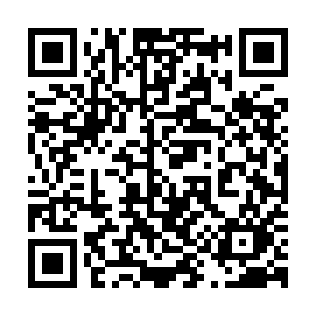 QR code for 494IAO