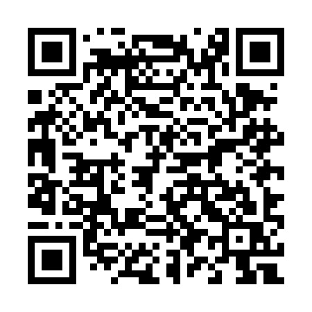 QR code for 495DIS